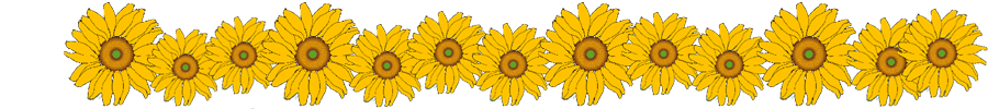 Sonnenblumen [Quelle: Berit B&ouml;hme]